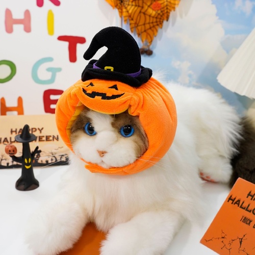 Halloween Pumpkin Hat for Cats - Adjustable Pet Costume with Witch Hat for Halloween Parties 3 pieces - Main Image