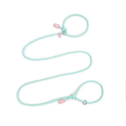 Adjustable Slip-On Dog Leashes - Lightweight and Comfortable Training Leads for Pets 3.35cm*8mm (Green, 2 pieces) - Main Image