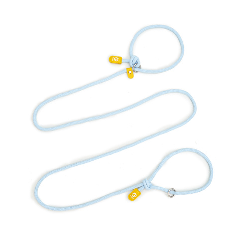 Adjustable Slip-On Dog Leashes - Lightweight and Comfortable Training Leads for Pets 3.35cm*8mm (Blue, 2 pieces) - Main Image