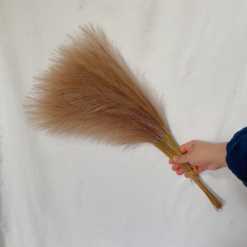 20 sticks Natural Brown Pampas Grass Bouquet-21.65" Fluffy Dried Pampas for Home Decor and Events - Main Image