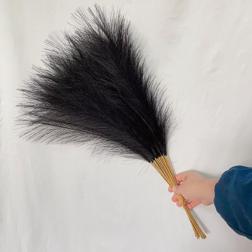 20 sticks Natural Black Pampas Grass Bouquet-21.65" Fluffy Dried Pampas for Home Decor and Events - Main Image