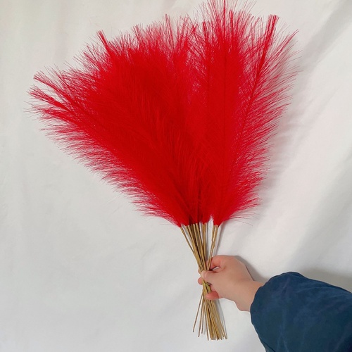 20 sticks Natural Red Pampas Grass Bouquet-21.65" Fluffy Dried Pampas for Home Decor and Events - Main Image