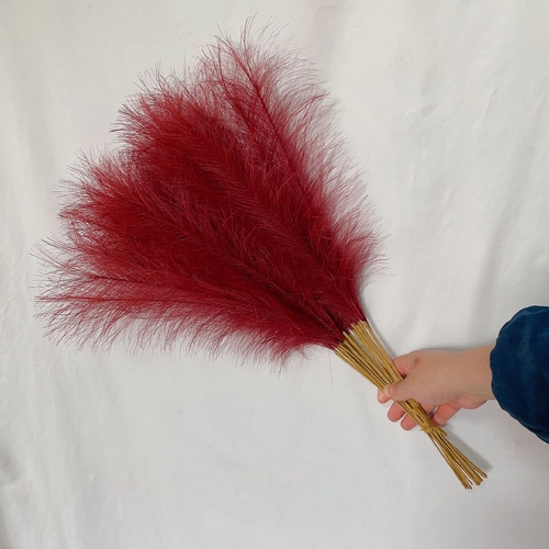 20 sticks Claret Pampas Grass Bouquet-21.65" Fluffy Dried Pampas for Home Decor and Events - Main Image