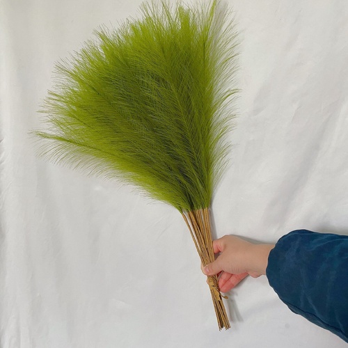 20 sticks Grass Green Pampas Grass Bouquet-21.65" Fluffy Dried Pampas for Home Decor and Events - Main Image