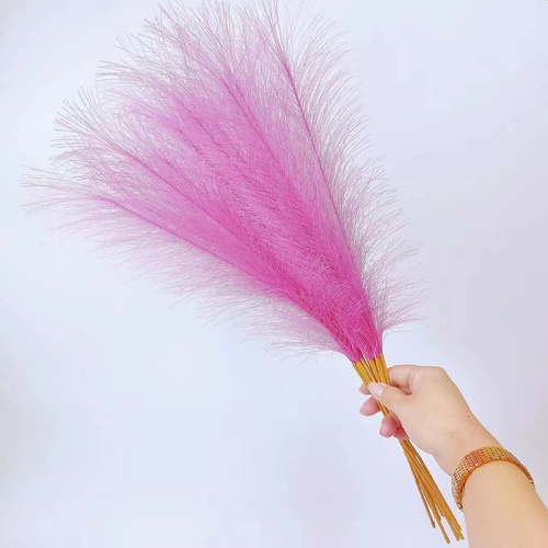 20 sticks Rose red Pampas Grass Bouquet-21.65" Fluffy Dried Pampas for Home Decor and Events - Main Image