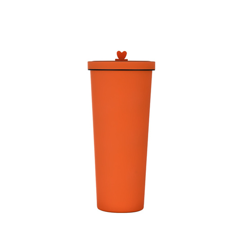 750ml Straw Cup – 304 Stainless Steel Reusable BPA-Free Water Bottle with Leak-Proof Lid, Large Capacity, Perfect for Hydration On-the-Go - Main Image