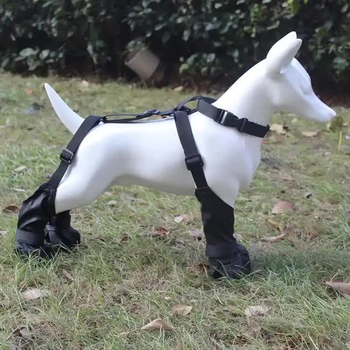 XS Waterproof Non-Slip Dog Shoes - All-Season Dog Boots for Protection, Anti-Slip Pet Footwear, Durable and Comfortable - Main Image