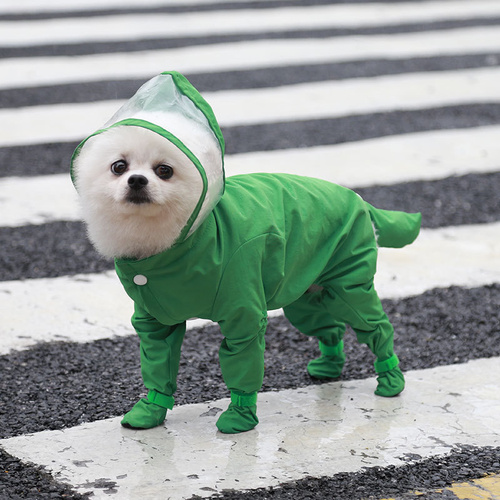 S Green Waterproof Full-Cover Pet Raincoat with Hood and Booties - Main Image