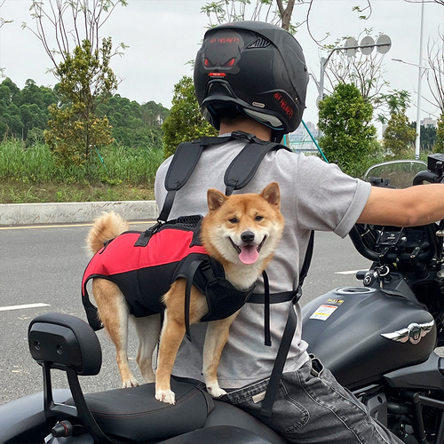 S Red Multifunctional Pet Backpack with Adjustable Straps, Outdoor Assist Walking Harness Carrier for Dogs And Cycling Dog Backpack - Main Image