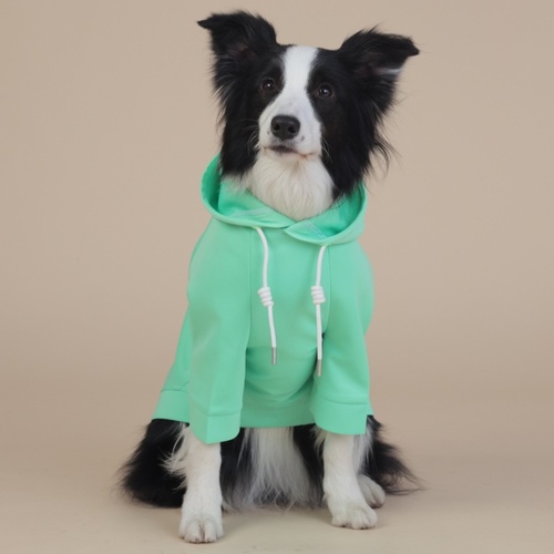 9XL Green Cute Dog Hoodie with Adjustable Drawstring - Available in Various Sizes - Main Image