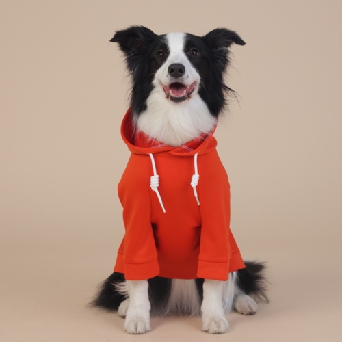 2XL Orange Cute Dog Hoodie with Adjustable Drawstring - Available in Various Sizes - Main Image