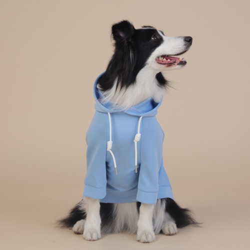 3XL Blue Cute Dog Hoodie with Adjustable Drawstring - Available in Various Sizes - Main Image