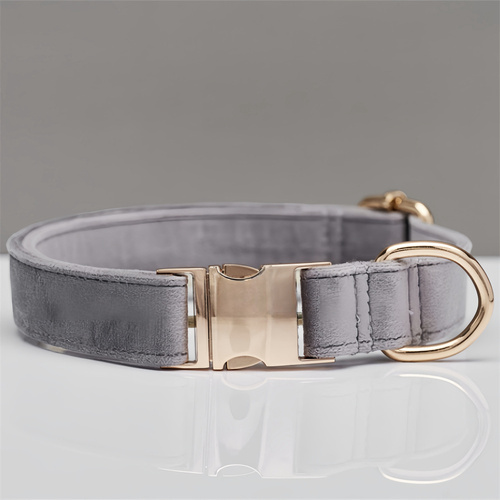 Grey Durable Dog Collar with Metal Buckle - Adjustable Nylon Pet Collar for Small to Large Dogs Size L - Main Image