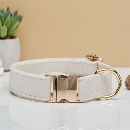 Beige Durable Dog Collar with Metal Buckle - Adjustable Nylon Pet Collar for Small to Large Dogs Size M - Main Image