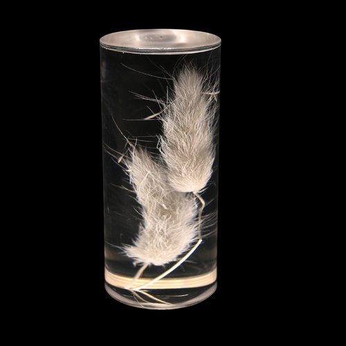 Dogtail Grass Eternal Flower Acrylic Table Lamp - Color-Changing LED, USB Rechargeable, Touch Control - Main Image