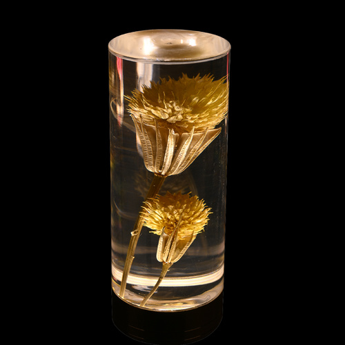 Dandelion Grass Eternal Flower Acrylic Table Lamp - Color-Changing LED, USB Rechargeable, Touch Control - Main Image