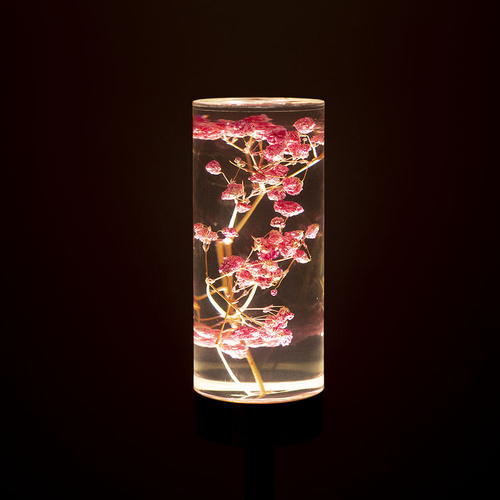 Gypsophila Paniculata Eternal Flower Acrylic Table Lamp - Color-Changing LED, USB Rechargeable, Touch Control - Main Image