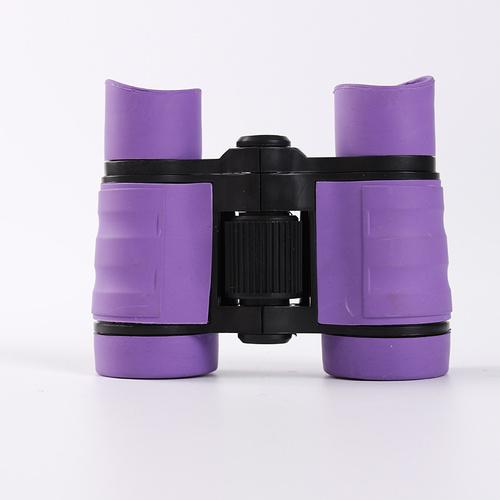 Purple 2-Pack 4x30 Kids Binoculars Set - Lightweight & Durable for Young Explorers - Main Image